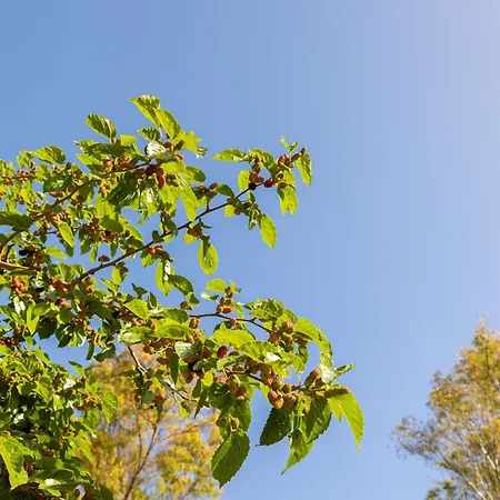 Dom wakacyjny Terrenito Private Pool By Aora Fuengirola